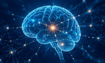 CNS – brain and neural network